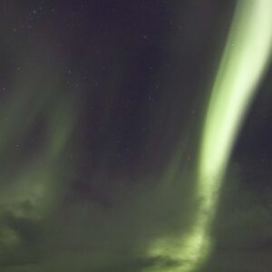 Aurora 8
